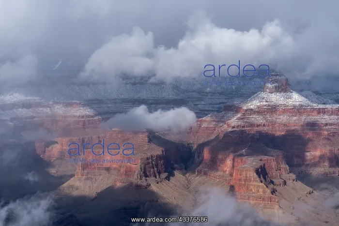 : USA, Arizona, Grand Canyon National Park. Winter : USA, Arizona, Grand Canyon National Park. Winter