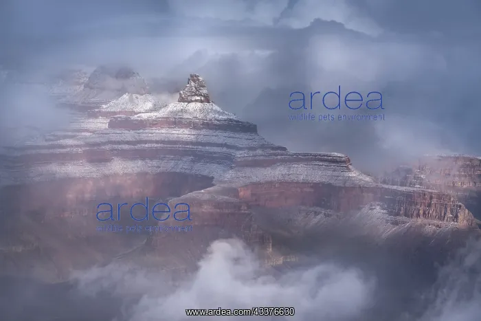 : USA, Arizona, Grand Canyon National Park. Winter : USA, Arizona, Grand Canyon National Park. Winter