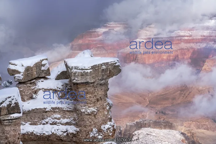 : USA, Arizona, Grand Canyon National Park. Winter : USA, Arizona, Grand Canyon National Park. Winter