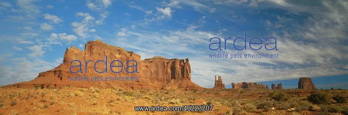 : USA, Arizona, Monument Valley : USA, Arizona, Monument Valley