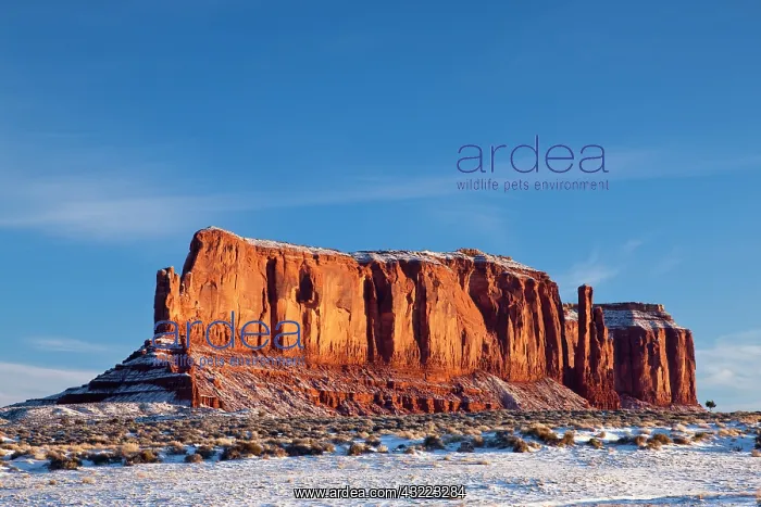 : USA, Arizona, Monument Valley Navajo Tribal : USA, Arizona, Monument Valley Navajo Tribal