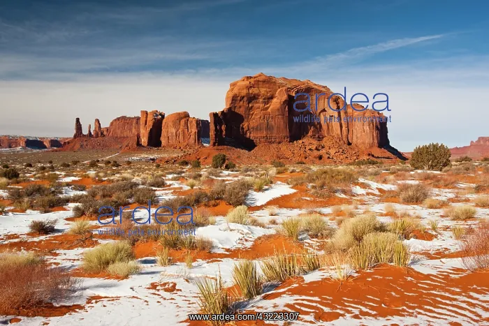 : USA, Arizona, Monument Valley Navajo Tribal : USA, Arizona, Monument Valley Navajo Tribal