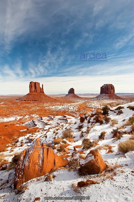 : USA, Arizona, Monument Valley Navajo Tribal : USA, Arizona, Monument Valley Navajo Tribal