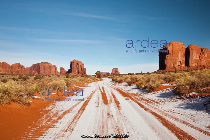 : USA, Arizona, Monument Valley Navajo Tribal : USA, Arizona, Monument Valley Navajo Tribal