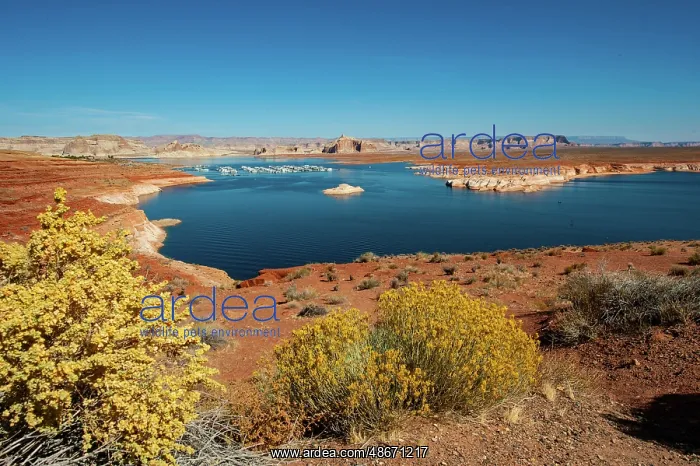 : USA, Arizona, Page. Glen Canyon Recreation Area, Lake Powell : USA, Arizona, Page. Glen Canyon Recreation Area, Lake Powell