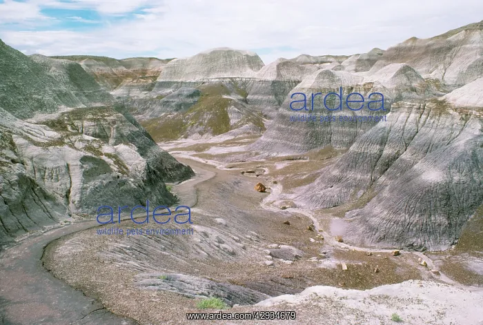 : USA - Arizona - Painted Desert : USA - Arizona - Painted Desert