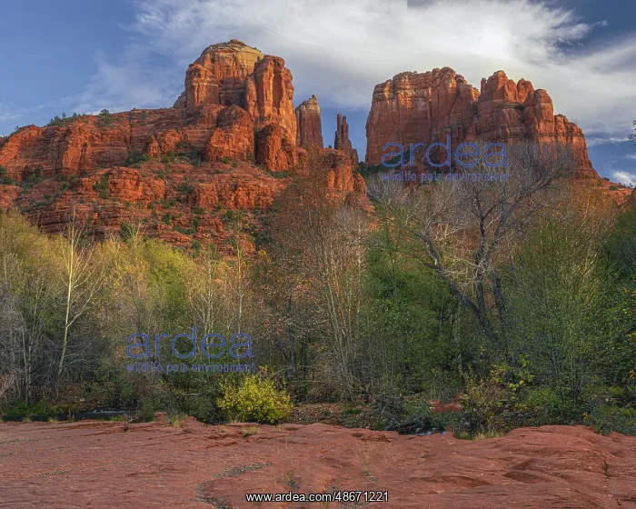  : USA, Arizona. Sunrise on mountain and valley landscape. ic J