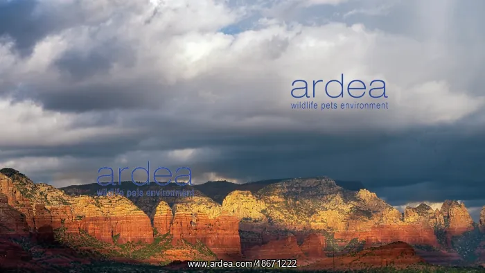 : USA, Arizona. Sunrise panoramic on mountain and valley : USA, Arizona. Sunrise panoramic on mountain and valley