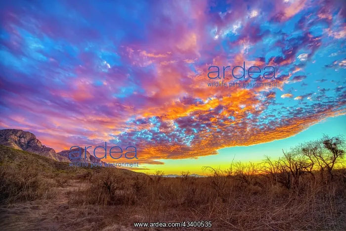 : USA, Arizona, Tucson. Sunset on Catalina Mountains : USA, Arizona, Tucson. Sunset on Catalina Mountains