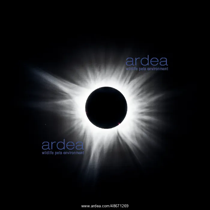 : USA, Arkansas. The Total Solar Eclipse of April 8, 2024 : USA, Arkansas. The Total Solar Eclipse of April 8, 2024