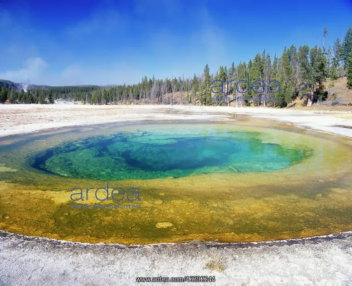 : USA - Beauty Pool, Upper Geyser Basin : USA - Beauty Pool, Upper Geyser Basin