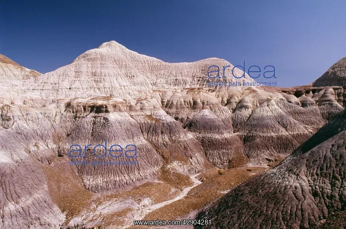 : USA - Blue Mesa, Petrified Forest National Park : USA - Blue Mesa, Petrified Forest National Park