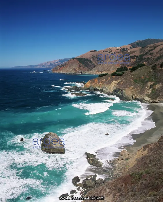 : USA, California, Big Sur, Pacific Coast : USA, California, Big Sur, Pacific Coast