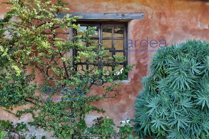 : USA, California, Carmel. Inside the grounds at the : USA, California, Carmel. Inside the grounds at the