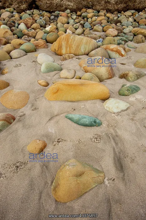 : USA, California. Central Coast, Santa Barbara County : USA, California. Central Coast, Santa Barbara County