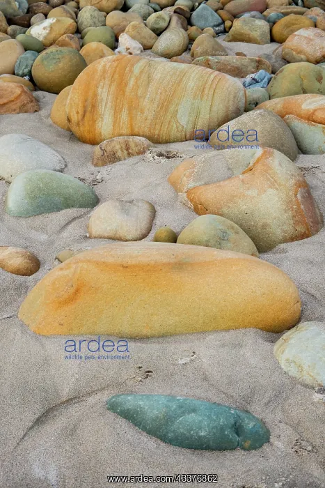 : USA, California. Central Coast, Santa Barbara County : USA, California. Central Coast, Santa Barbara County