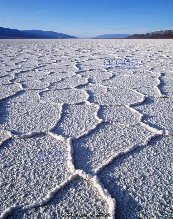 : USA, CALIFORNIA - Death Valley, Badwater Salt Flats : USA, CALIFORNIA - Death Valley, Badwater Salt Flats