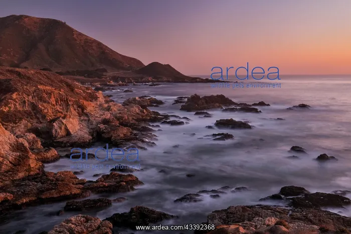 : USA, California, Garrapata State Park. Sunset along : USA, California, Garrapata State Park. Sunset along