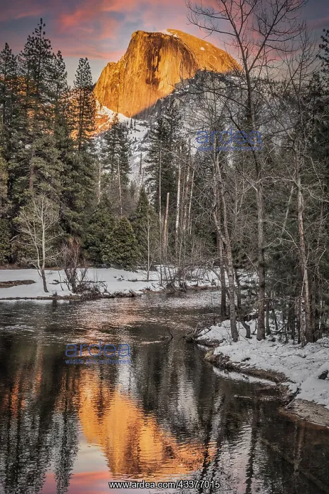 : USA, California, Half Dome in Yosemite : USA, California, Half Dome in Yosemite