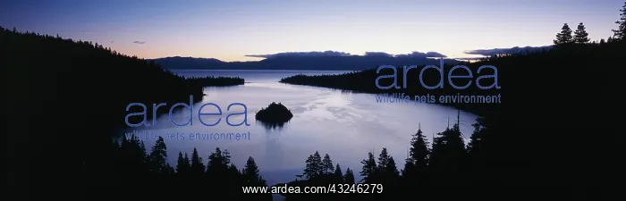: USA, California, Lake Tahoe, View of Lake : USA, California, Lake Tahoe, View of Lake