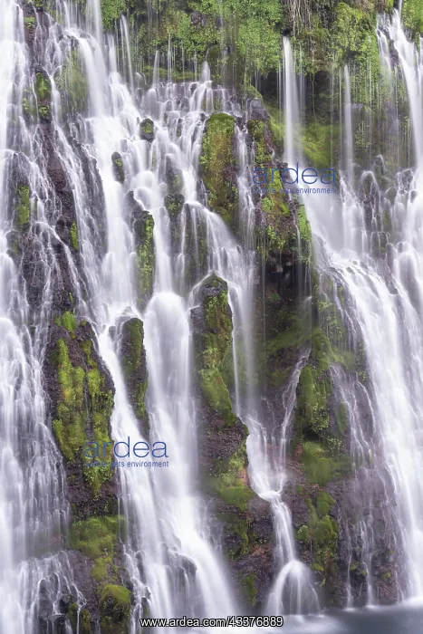 : USA, California, McArthur-Burney Falls State Park : USA, California, McArthur-Burney Falls State Park