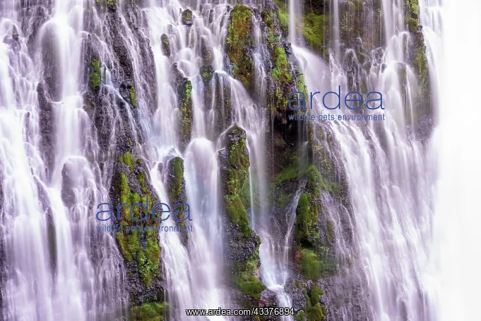: USA, California, McArthur-Burney Falls State Park : USA, California, McArthur-Burney Falls State Park