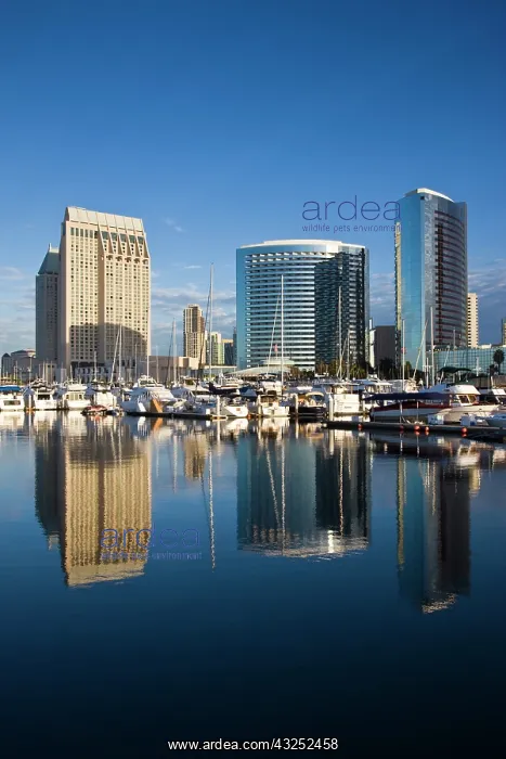 : USA, California, San Diego. Harborside city : USA, California, San Diego. Harborside city