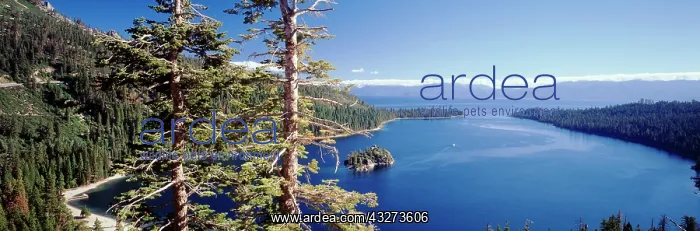 : USA, California, View of Lake Tahoe and : USA, California, View of Lake Tahoe and