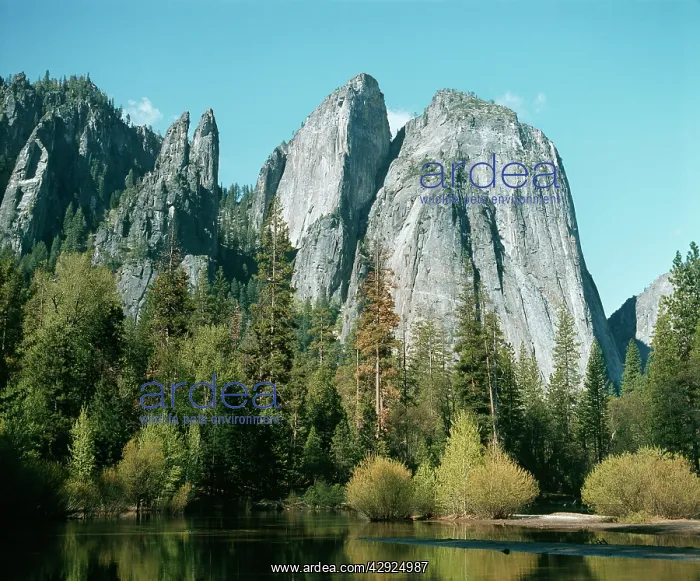 : USA - Cathedral Spires : USA - Cathedral Spires
