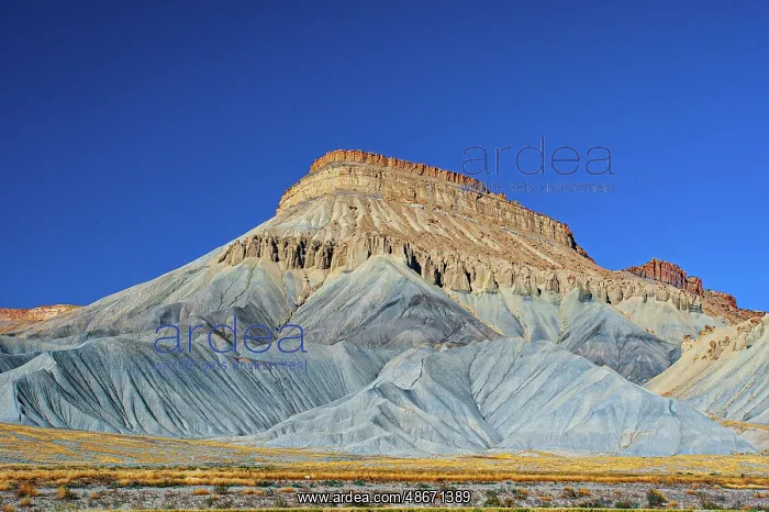 : USA, Colorado, Grand Junction. Little Book Cliffs, Wild : USA, Colorado, Grand Junction. Little Book Cliffs, Wild