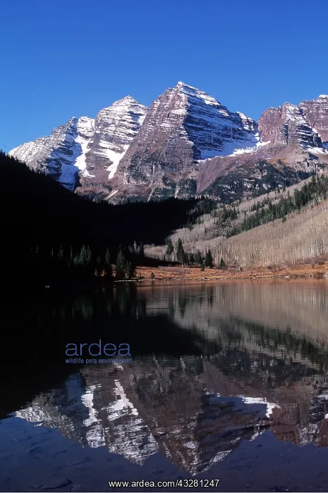 : USA, COLORADO - The Maroon Bells : USA, COLORADO - The Maroon Bells