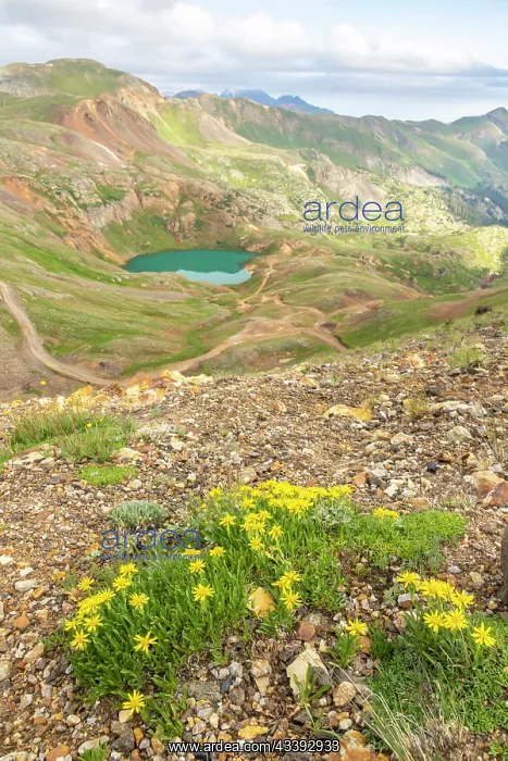 : USA, Colorado, San Juan Mountains. Mountain landscape : USA, Colorado, San Juan Mountains. Mountain landscape