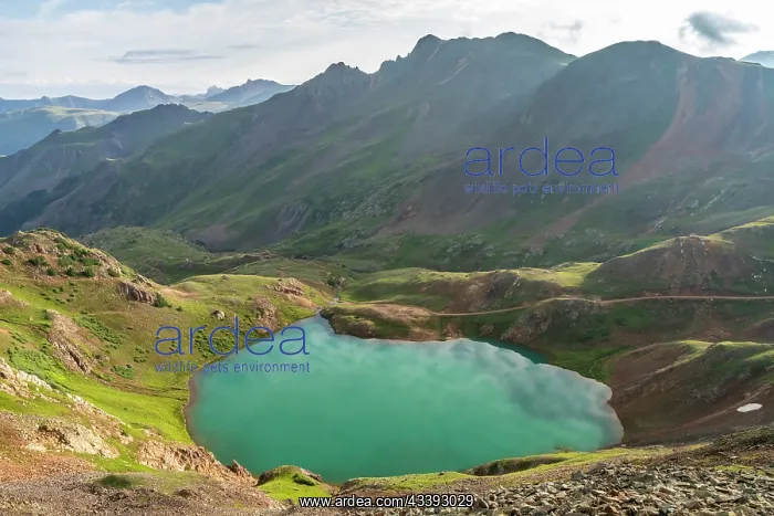 : USA, Colorado, San Juan Mountains. Mountain landscape : USA, Colorado, San Juan Mountains. Mountain landscape