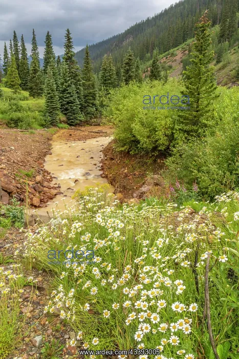 : USA, Colorado, San Juan Mountains. Scenic with Cement : USA, Colorado, San Juan Mountains. Scenic with Cement