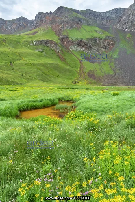 : USA, Colorado, San Juan Mountains. Velocity Basin : USA, Colorado, San Juan Mountains. Velocity Basin