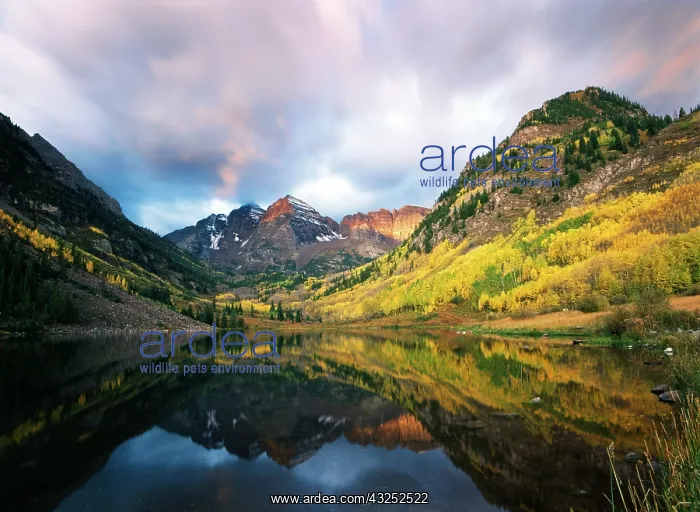 : USA, Colorado, White River Wilderness, Maroon : USA, Colorado, White River Wilderness, Maroon
