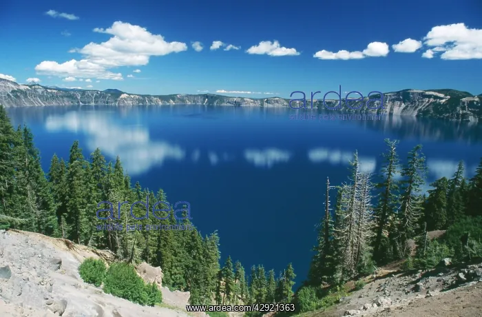 : USA - Crater Lake, National Park, Oregon : USA - Crater Lake, National Park, Oregon