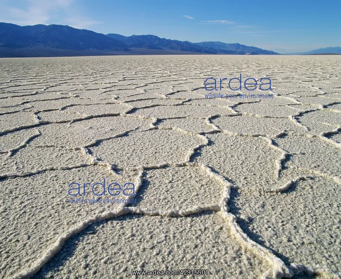 : USA - Death Valley National Monument, Badwater : USA - Death Valley National Monument, Badwater