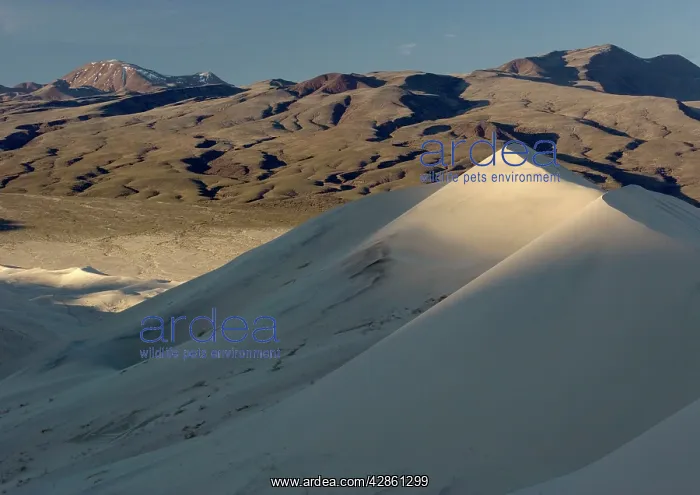 : USA - Eureka dunes in Death Valley National Park : USA - Eureka dunes in Death Valley National Park