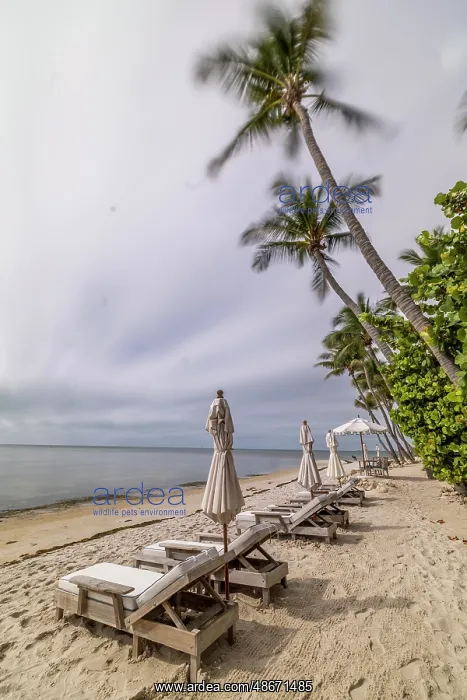 : USA, Florida, Little Palm Island : USA, Florida, Little Palm Island