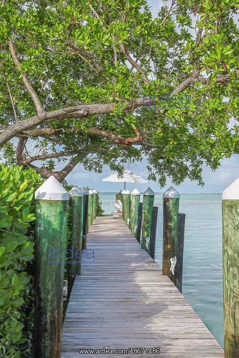  : USA, Florida, Little Palm Island