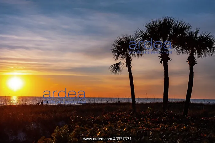 : USA, Florida, Sarasota, Crescent Beach, Siesta Key, Sunset : USA, Florida, Sarasota, Crescent Beach, Siesta Key, Sunset