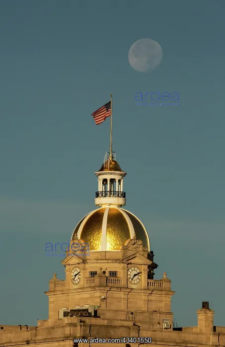 : USA, Georgia, Savannah. Moon setting over gold dome : USA, Georgia, Savannah. Moon setting over gold dome