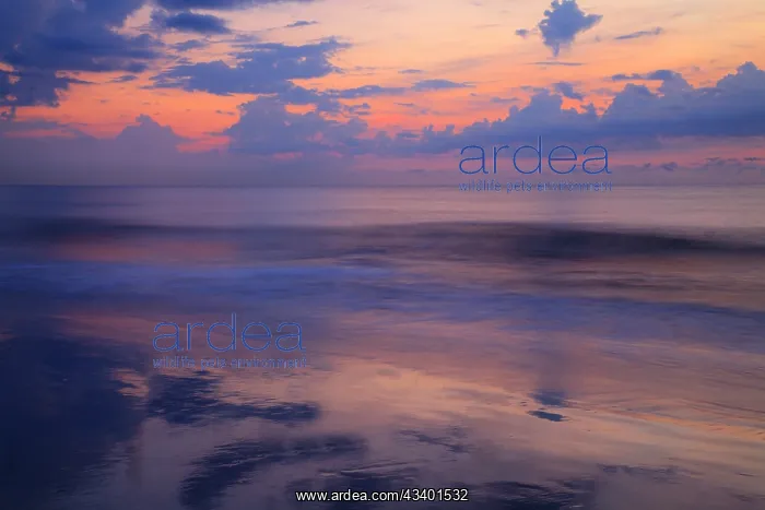  : USA, Georgia, Tybee Island. Sunrise with clouds