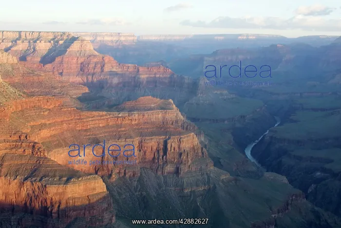 : USA - Grand Canyon and Colorado River : USA - Grand Canyon and Colorado River