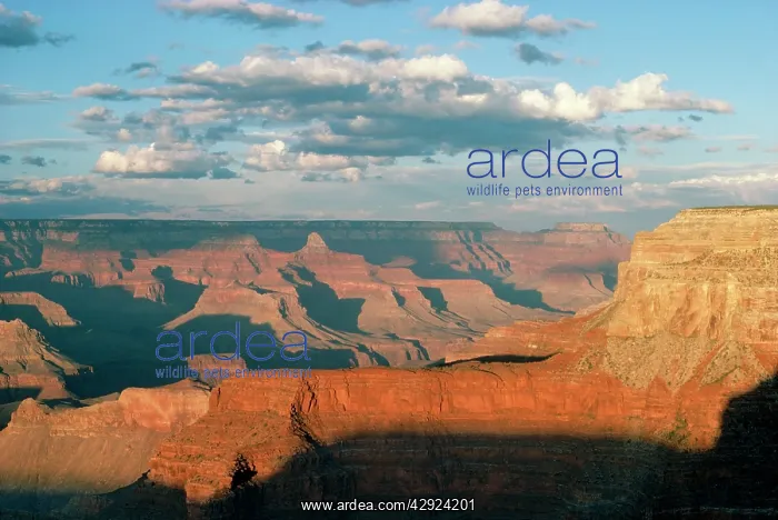 : USA - Grand Canyon at sunset : USA - Grand Canyon at sunset
