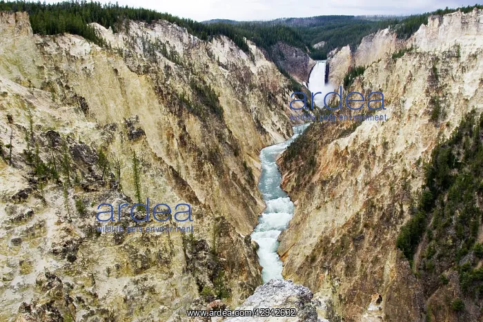  : USA - Grand Canyon of the Yellowstone