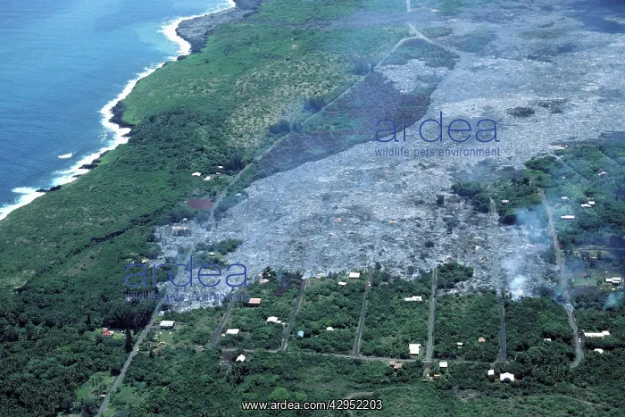 : USA - Hawaii - Big Island - Eruption of the Pu'u : USA - Hawaii - Big Island - Eruption of the Pu'u