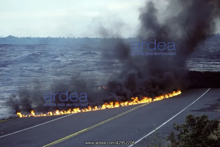 : USA - Hawaii - Big Island - Eruption of the Pu'u : USA - Hawaii - Big Island - Eruption of the Pu'u