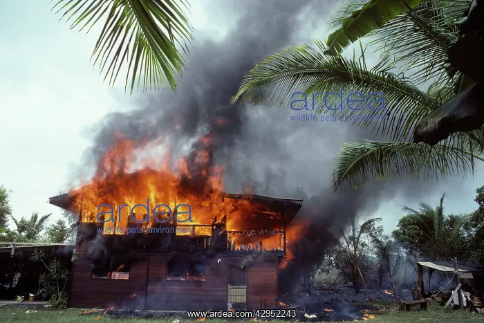 : USA - Hawaii - Big Island - Eruption of the Pu'u : USA - Hawaii - Big Island - Eruption of the Pu'u